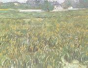 Vincent Van Gogh Wheat Field at Auvers with White House (nn04) France oil painting artist